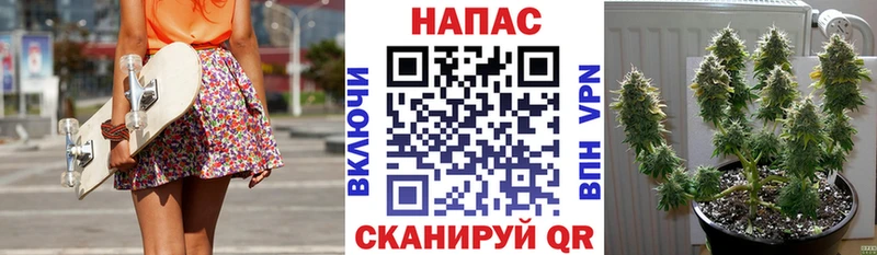 что такое   Железногорск-Илимский  Канабис семена 